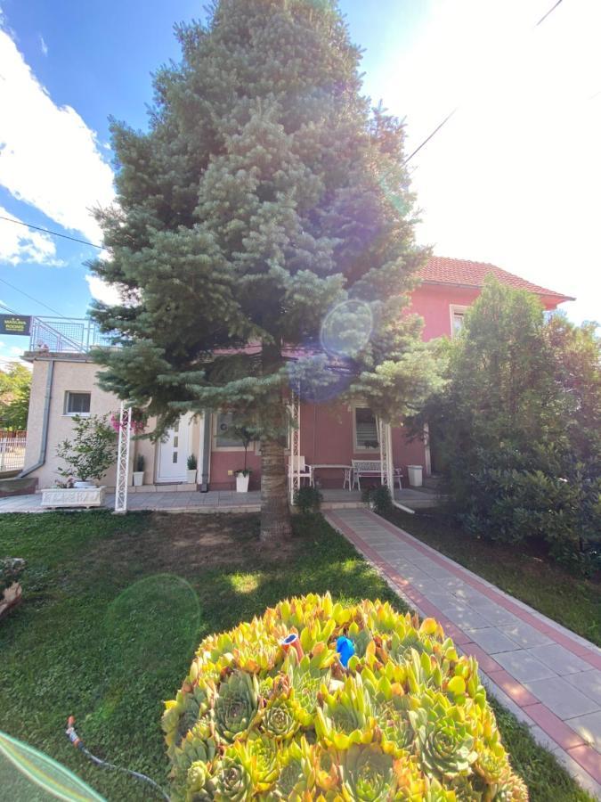 Maslina Rooms Smederevo Esterno foto