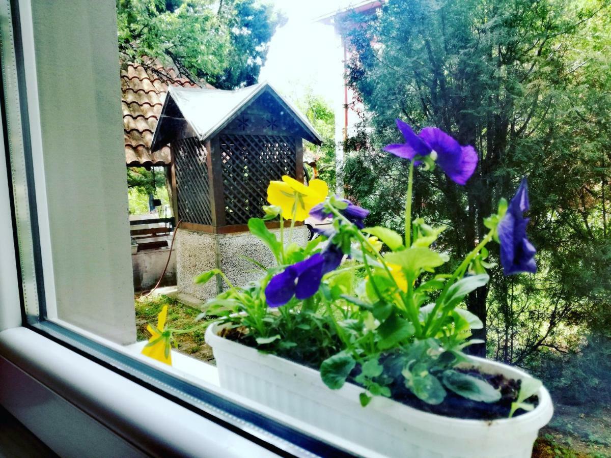 Maslina Rooms Smederevo Esterno foto